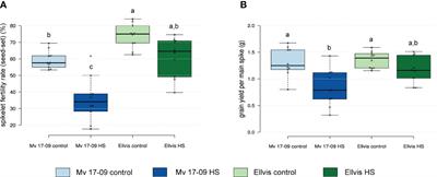 Heat stress during male meiosis impairs cytoskeletal organization, spindle assembly and tapetum degeneration in wheat